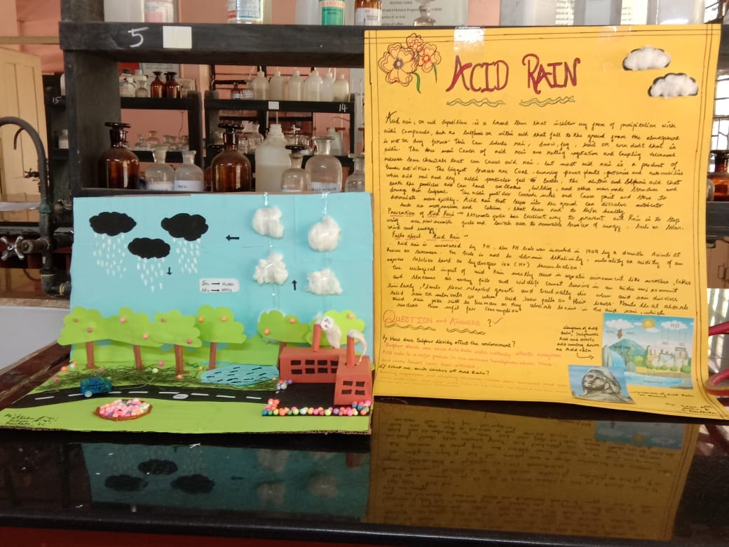 science activity - Acid Rain