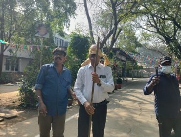 पोंगल उत्सव