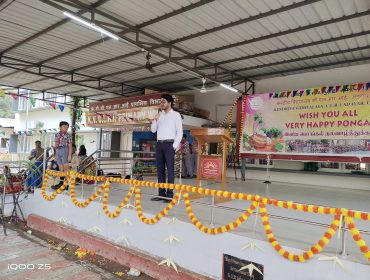 पोंगल उत्सव