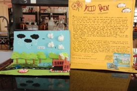 science activity - Acid Rain