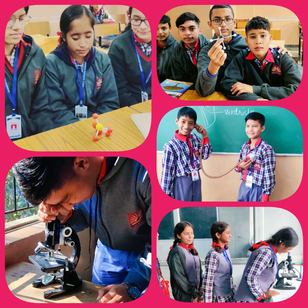 विज्ञान गतिविधियाँ