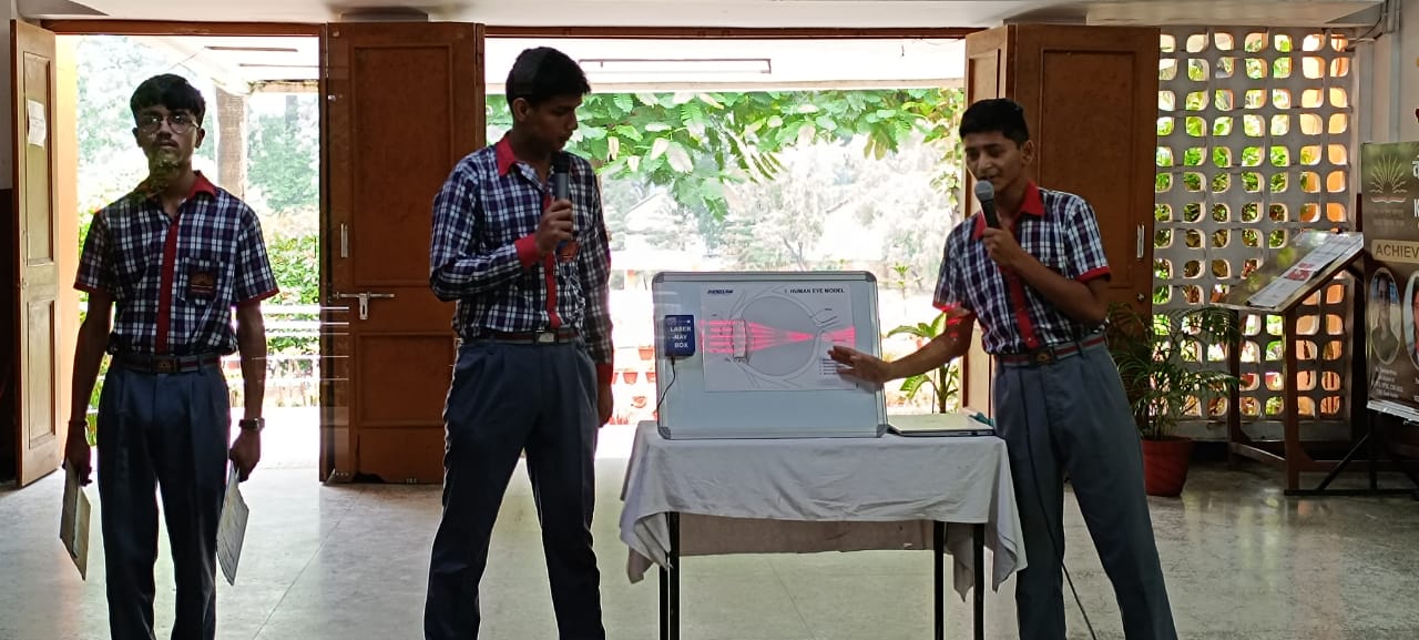 मॉडल प्रदर्शन