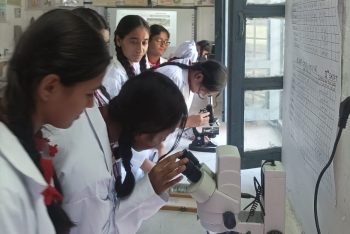 STEM ACTIVITY