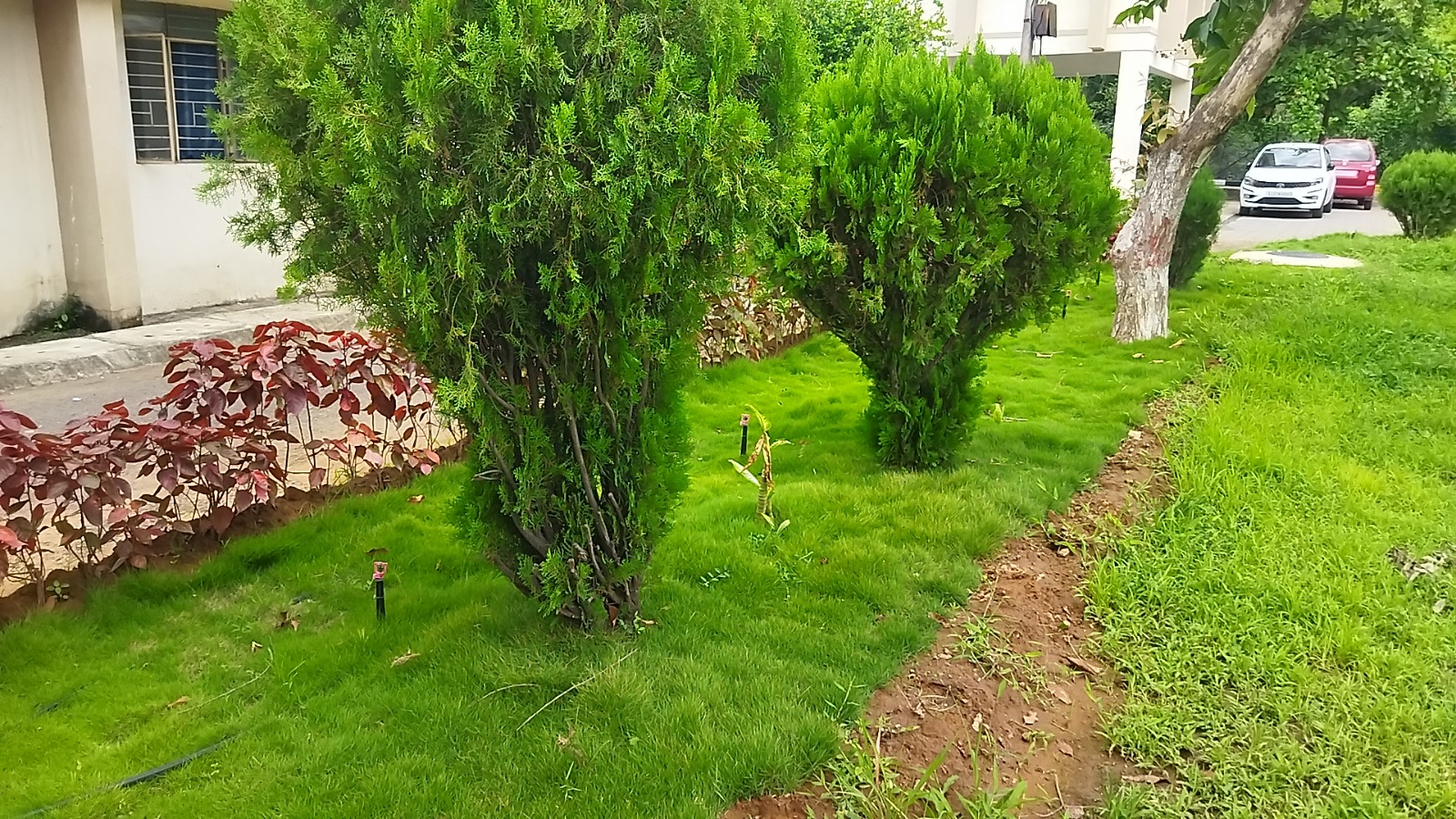 उद्यान विकास