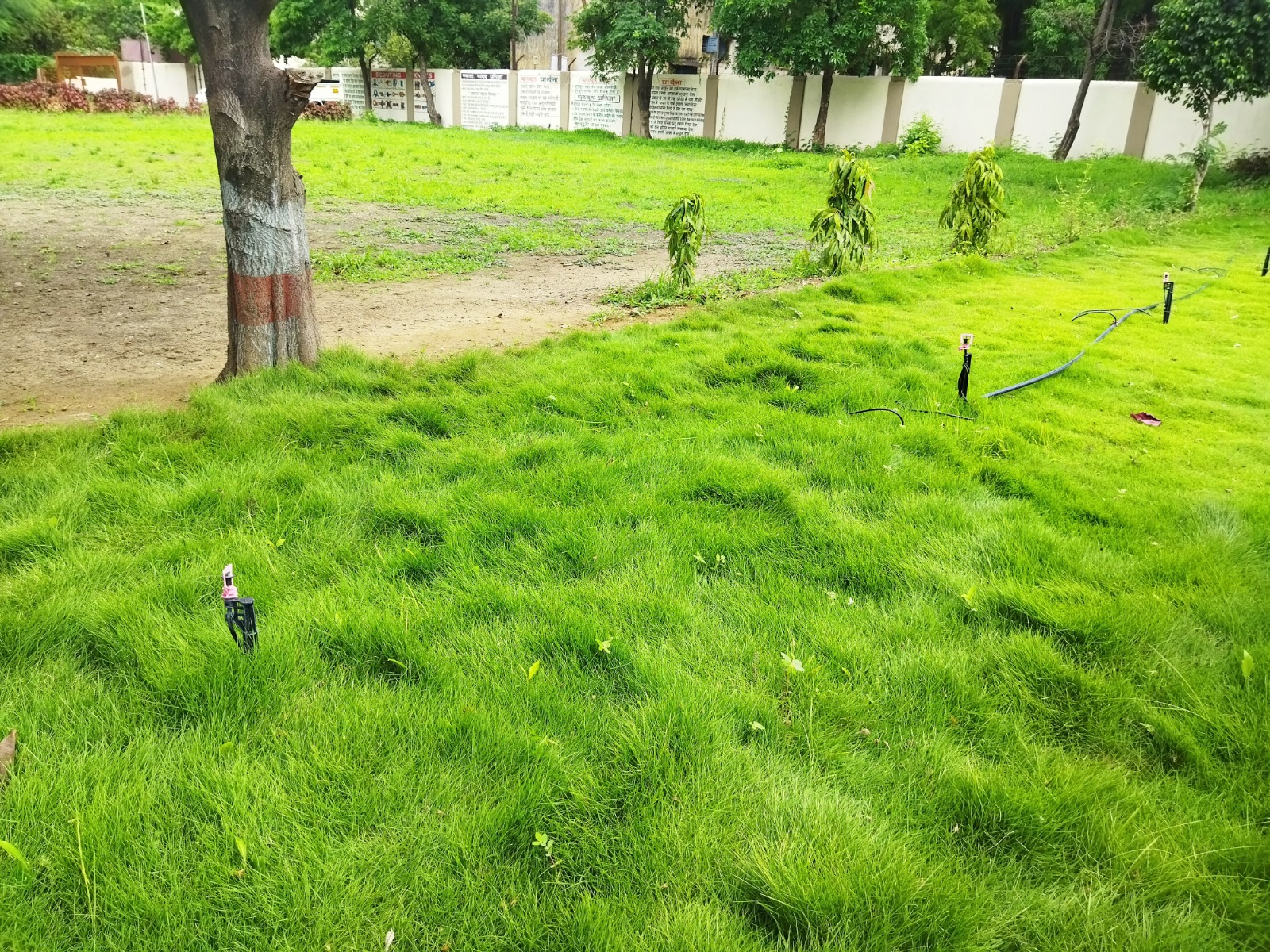 उद्यान विकास