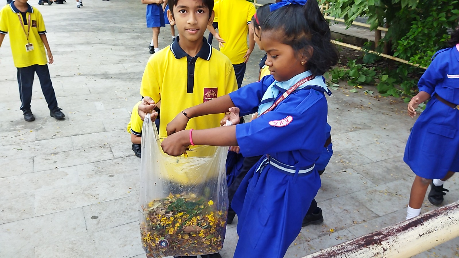 स्काउट गाइड गतिविधि