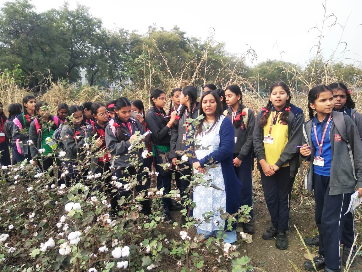 माध्यमिक भ्रमण