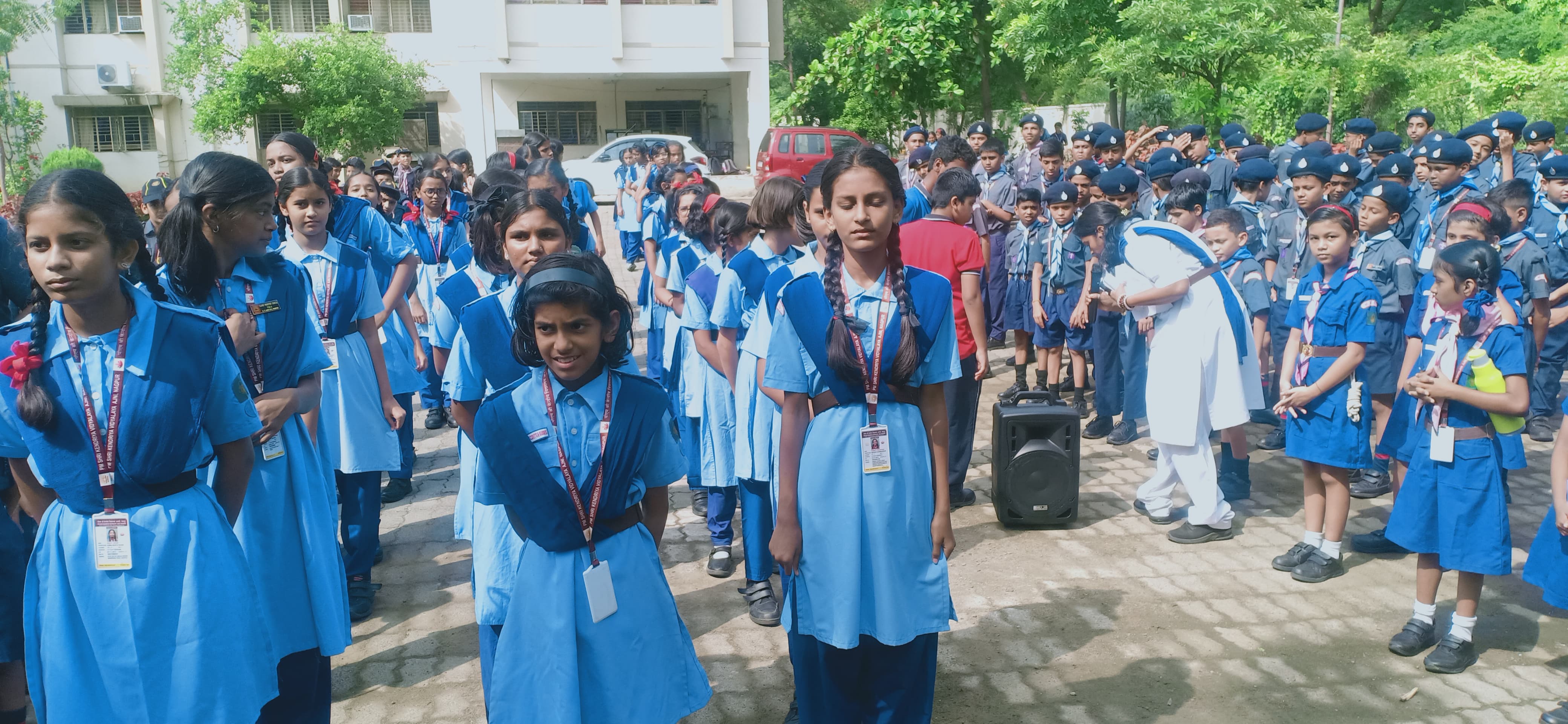 Scout Guide Activity