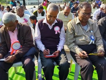 दादा दादी नाना नानी दिवस