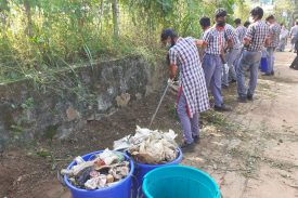 सामाजिक सहभागिता