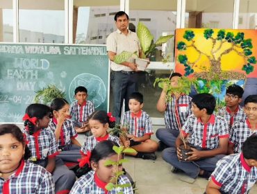 TREE PLANTATION