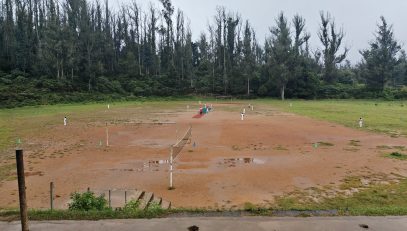 Cricket
