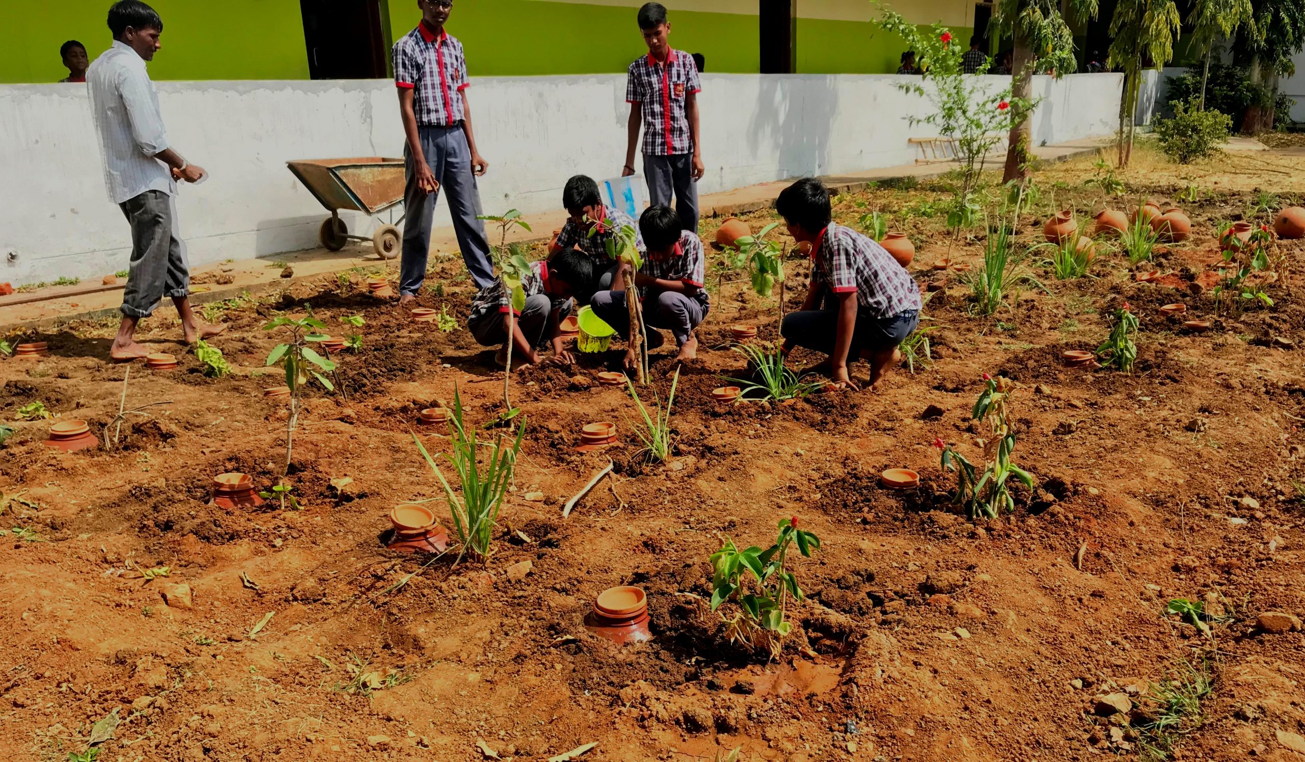 PM SHRI Activities (Drip Irrigation)