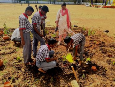 पीएम श्री गतिविधियाँ ड्रिप सिंचाई