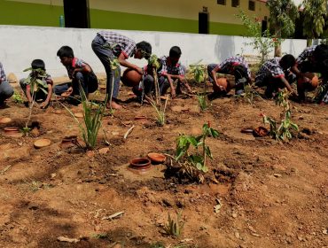 पीएम श्री गतिविधियाँ ड्रिप सिंचाई