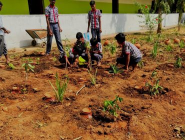 PM SHRI Activities Drip Irrigation