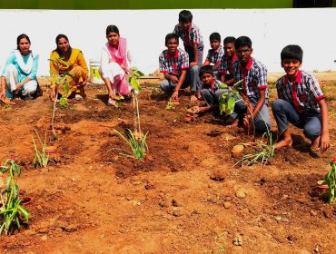PM SHRI Activities Drip Irrigation