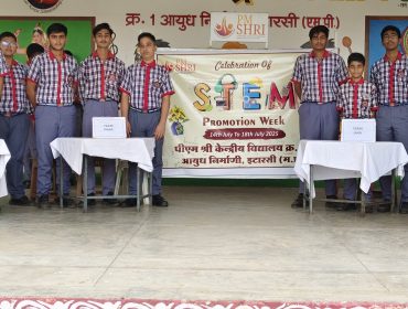 stem3