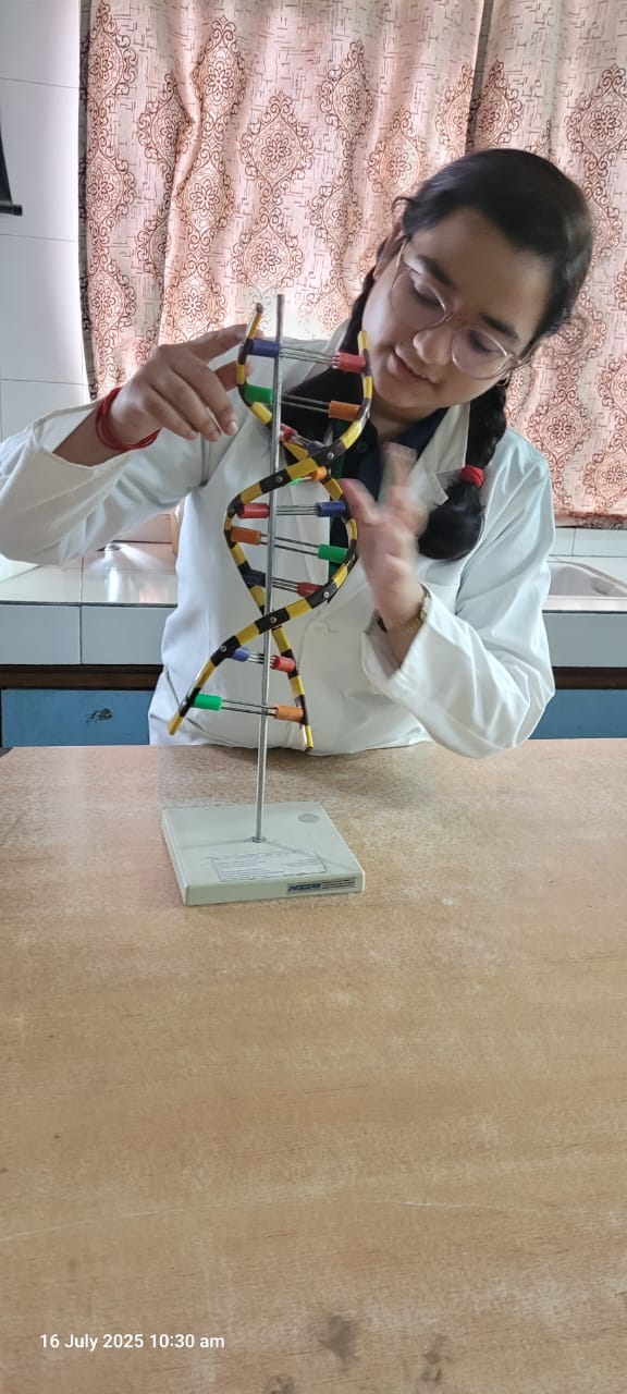 Celebrating STEM Week in Kendriya Vidyalayas
