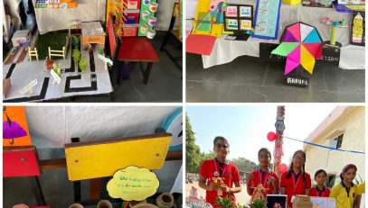 Multidisciplinary Projects