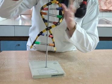 Celebrating STEM Week in Kendriya Vidyalayas