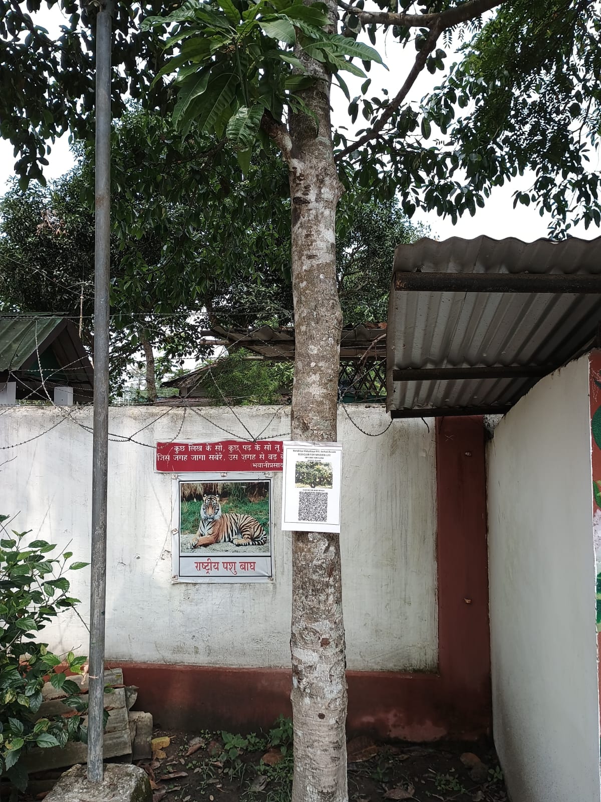 QR Code for Flora under Eco Club for Misson LiFEE