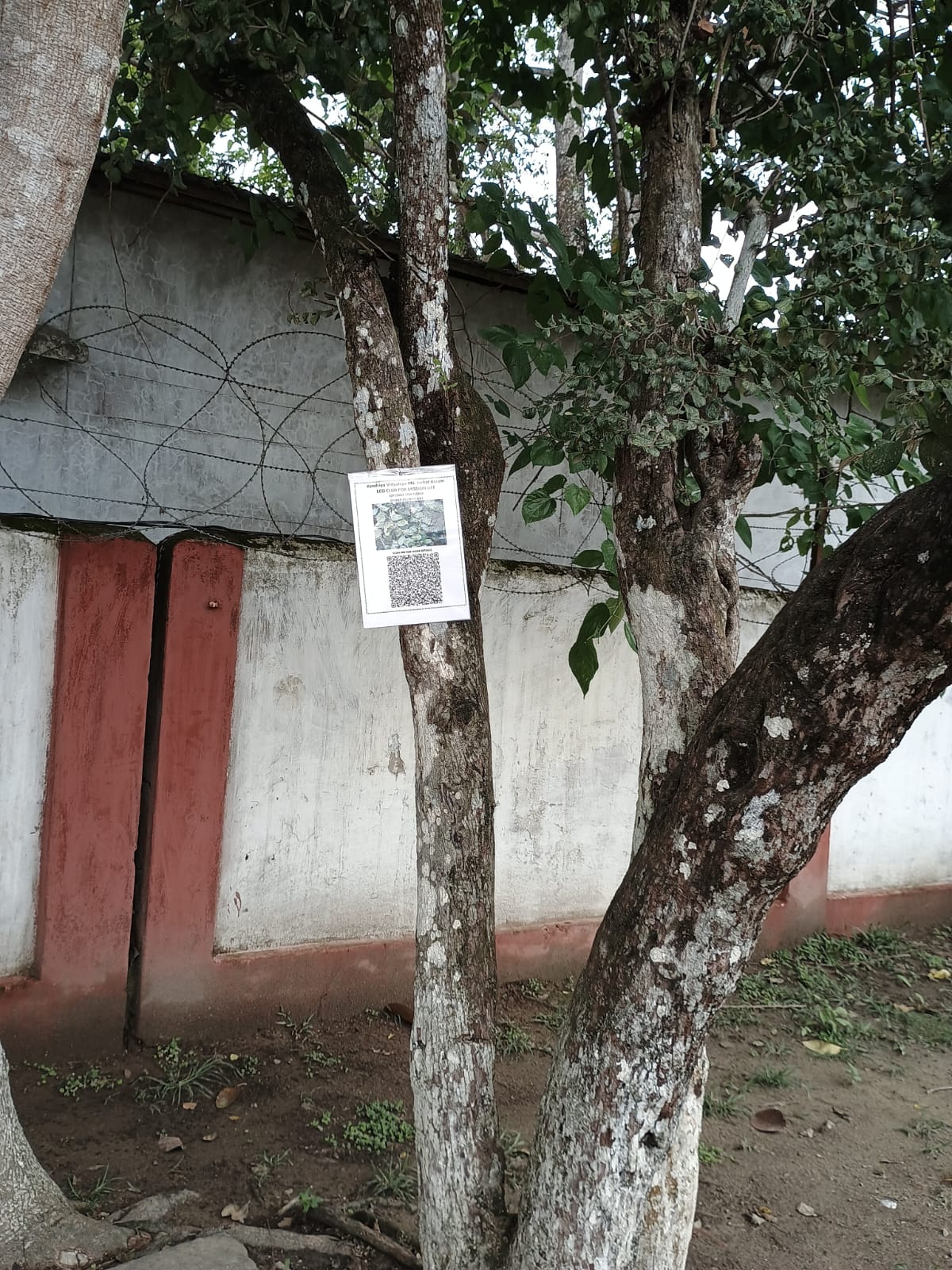 QR Code for Flora under Eco Club for Misson LiFEE