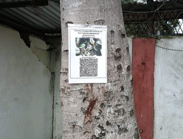 QR Code for Flora under Eco Club for Misson LiFEE