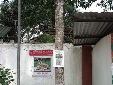 QR Code for Flora under Eco Club for Misson LiFEE