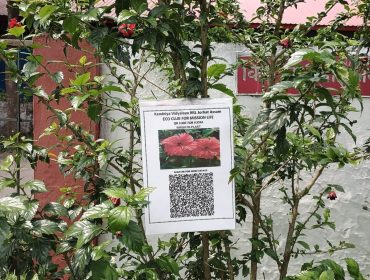 QR Code for Flora under Eco Club for Misson LiFEE