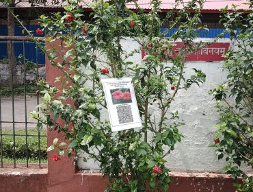 QR Code for Flora under Eco Club for Misson LiFEE