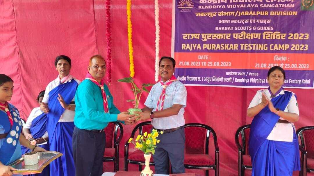 Scout Guide Activity