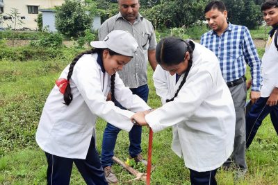 STUDENTS DURING SOILTESTING