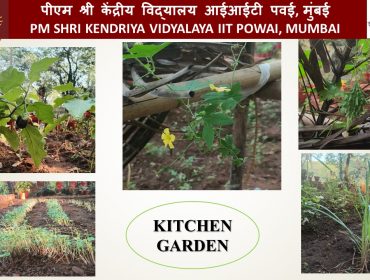 KV IIT POWAI PM SHRI ACTIVITIES 3