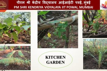 Kitchen Garden