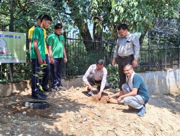 एक पेड़ माँ के नाम5