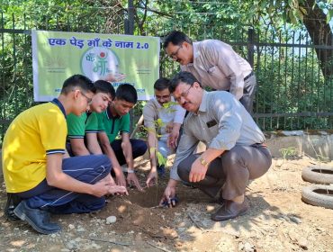 एक पेड़ माँ के नाम3