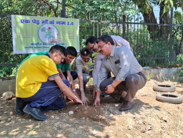 एक पेड़ माँ के नाम2
