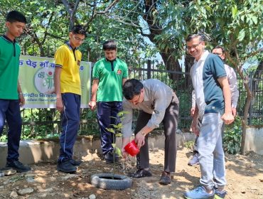 एक पेड़ माँ के नाम1