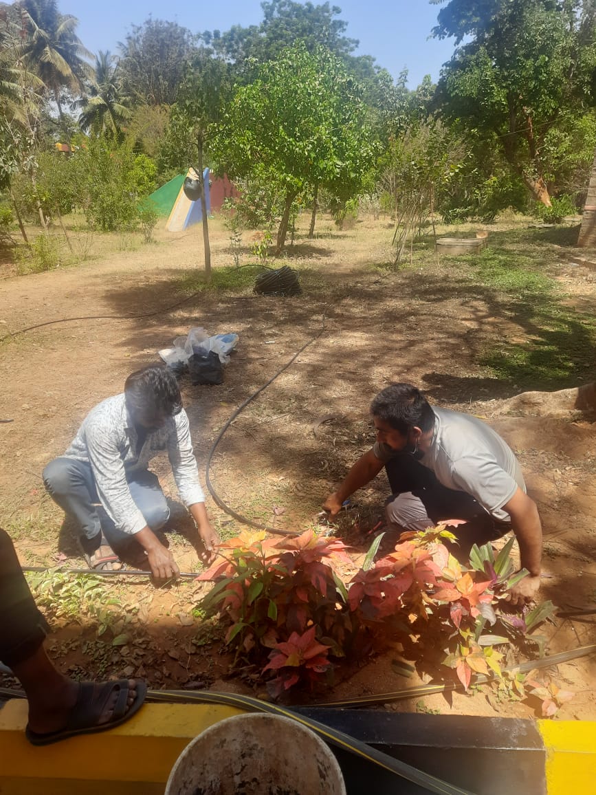 केवी 1 जलाहल्ली में ड्रिप सिंचाई प्रणाली