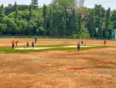 cricket 7