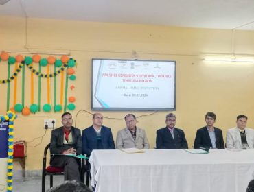 पैनल निरीक्षण