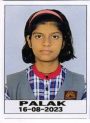 15 PALAK