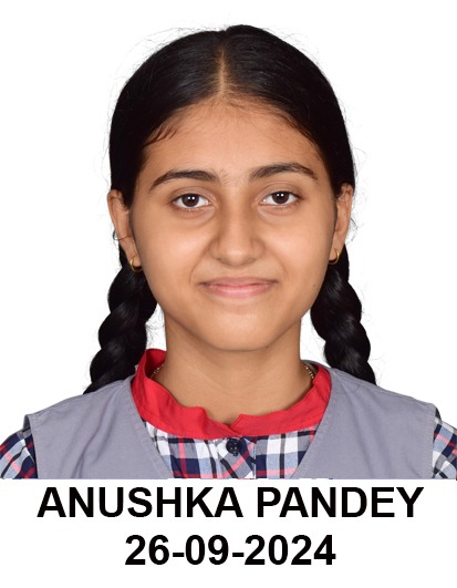 student name