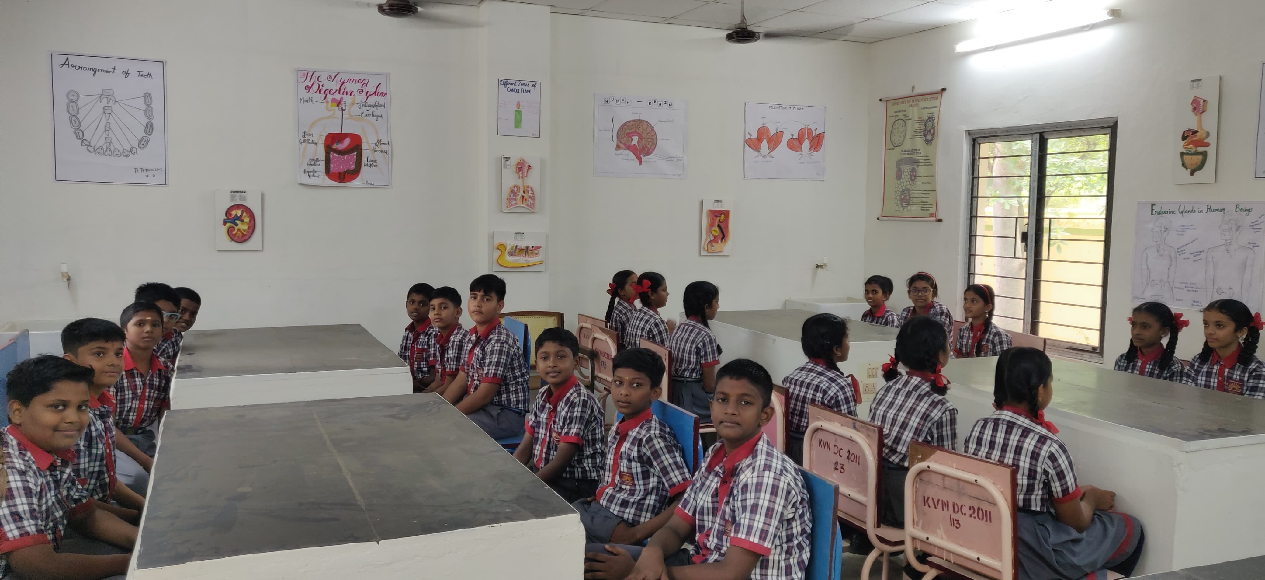 जूनियर विज्ञान प्रयोगशाला