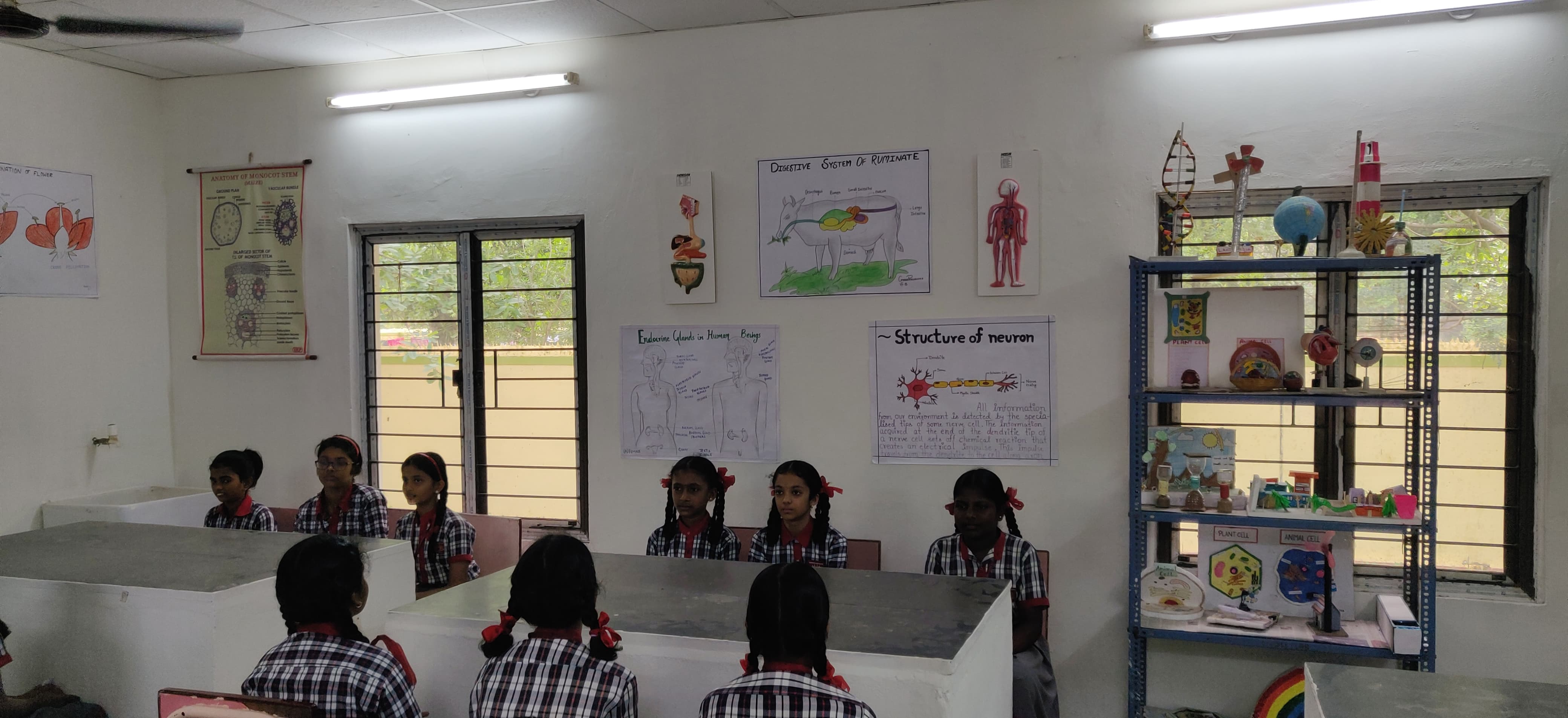 जूनियर विज्ञान प्रयोगशाला