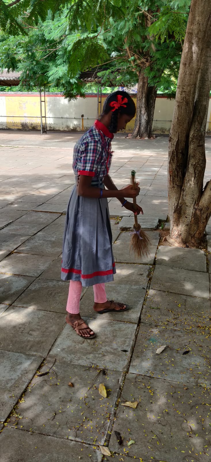 स्वच्छता अभियान