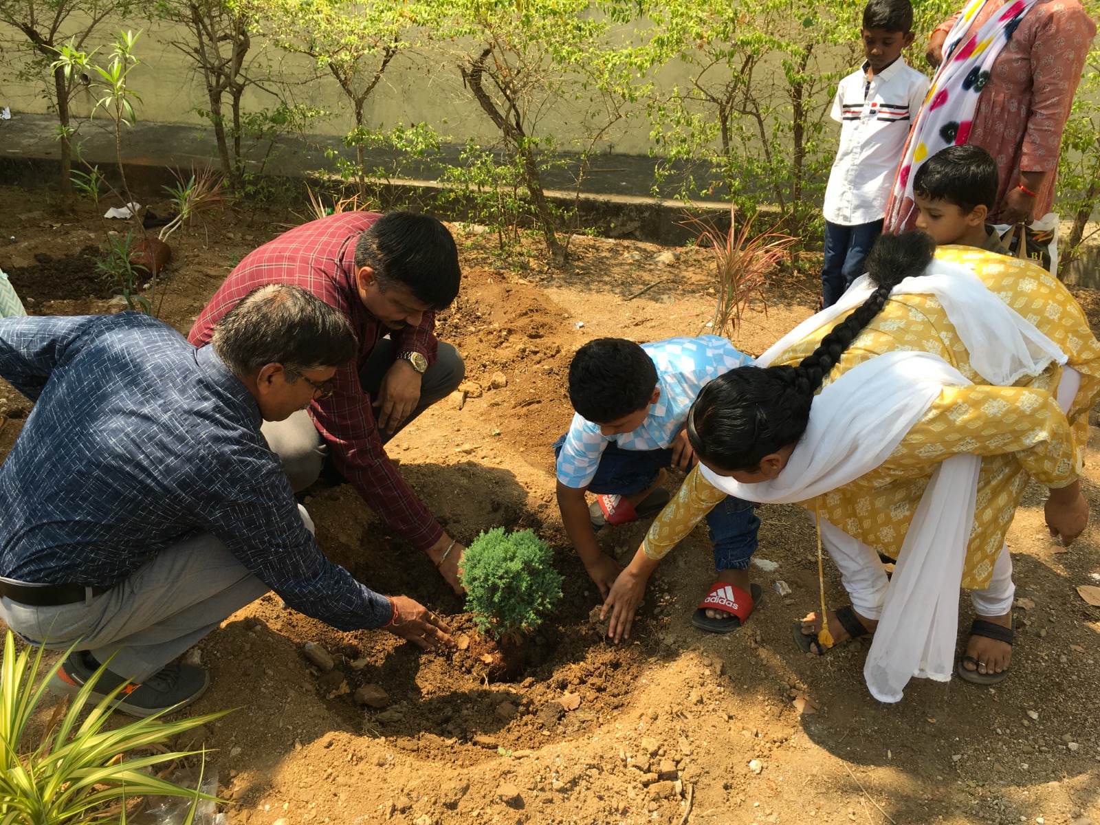 plantation drive