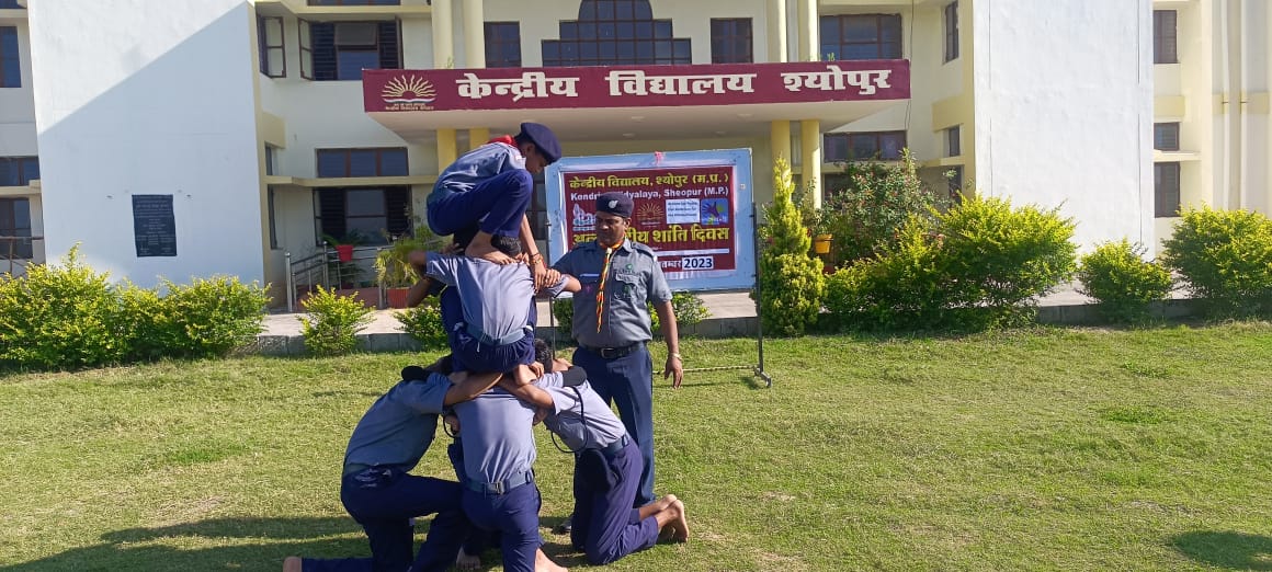 स्काउट और गाइड