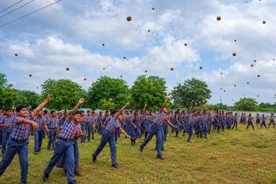 SEED BALL ACTIVITY 2026